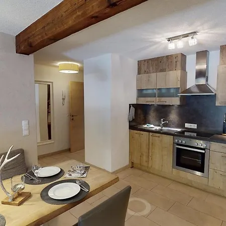 齐勒与小提琴公寓 * 迈尔霍芬