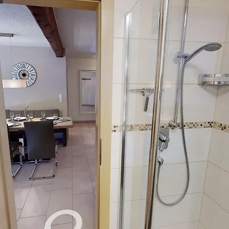 齐勒与小提琴公寓 迈尔霍芬