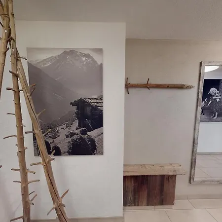 齐勒与小提琴公寓 公寓 迈尔霍芬