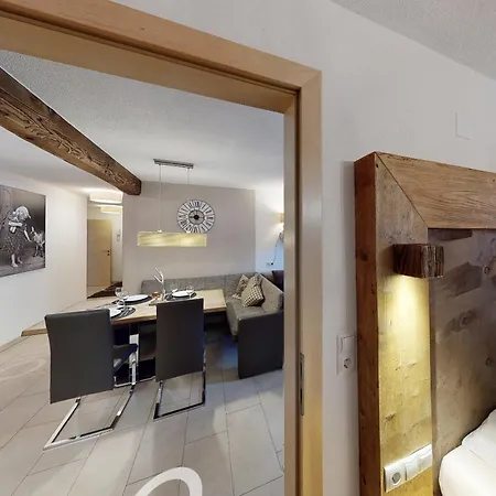 齐勒与小提琴公寓 *