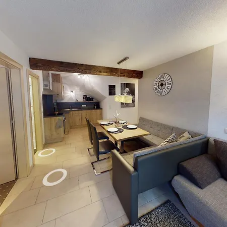 齐勒与小提琴公寓 *