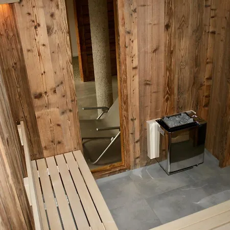 齐勒与小提琴公寓 公寓 *