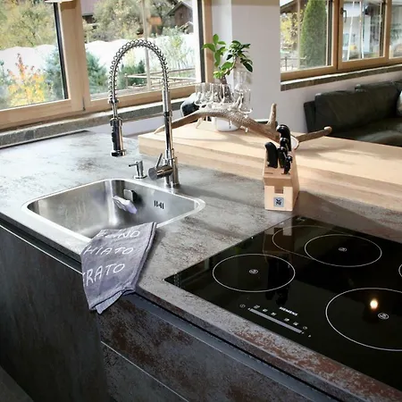 齐勒与小提琴公寓 *