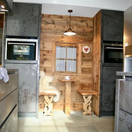 齐勒与小提琴公寓 *