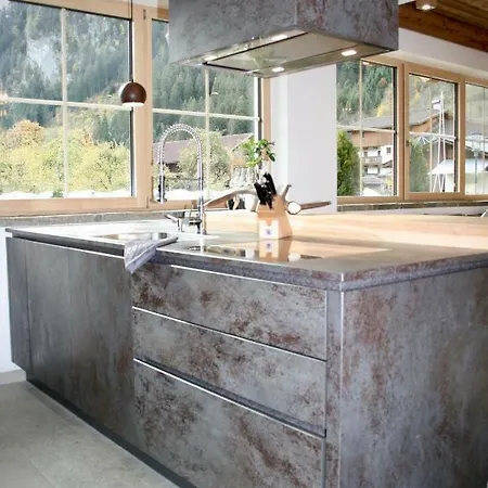 齐勒与小提琴公寓 *