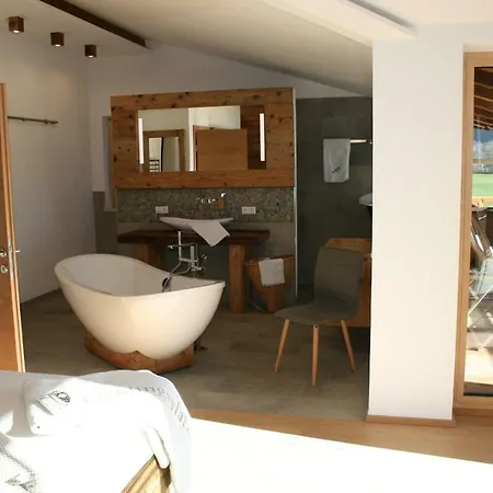 齐勒与小提琴公寓 *